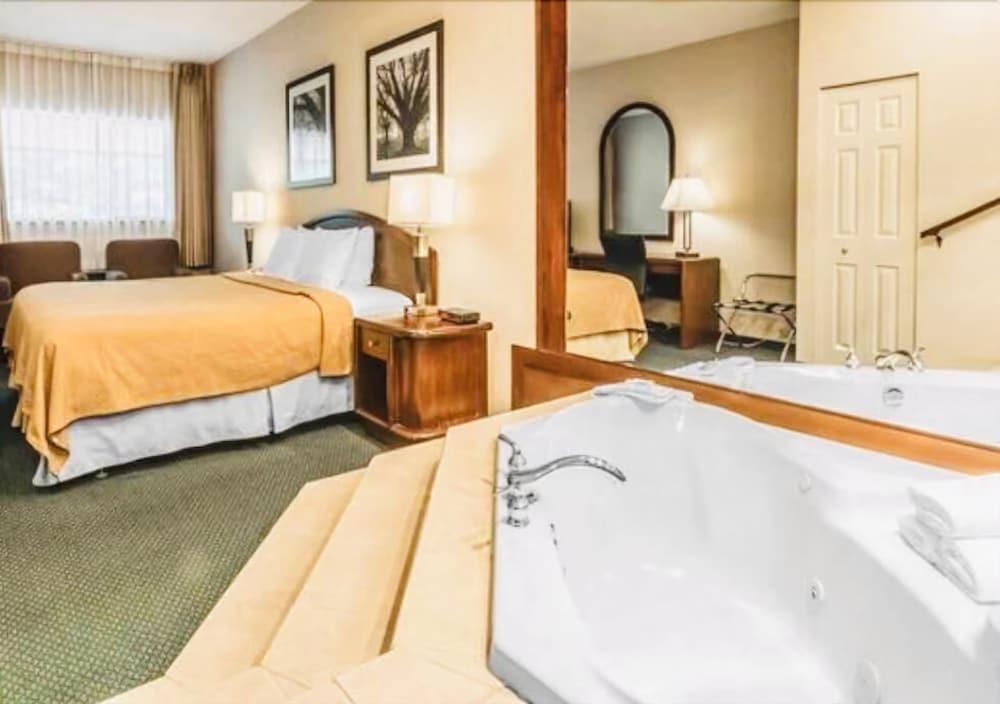 Art Infiniti Hotel Pitt Meadows Dış mekan fotoğraf